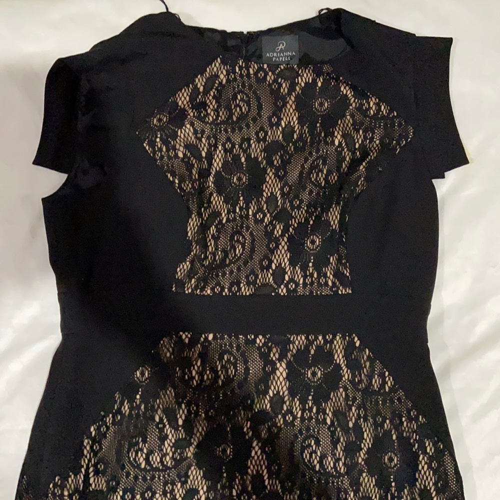 Adrianna papell black dress (Size:14p)